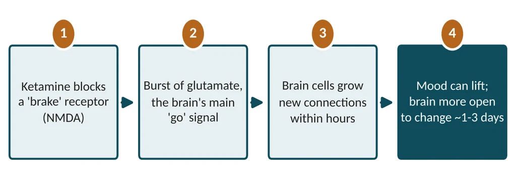 Usual antidepressants act on serotonin. Ketamine acts on glutamate - a different system.