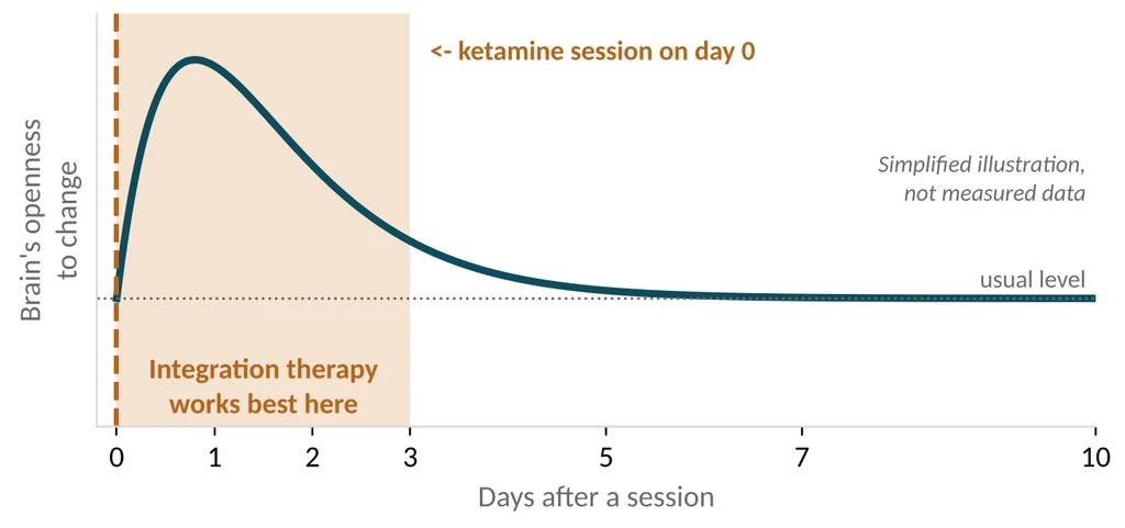 The "window" after a session, and where integration therapy fits