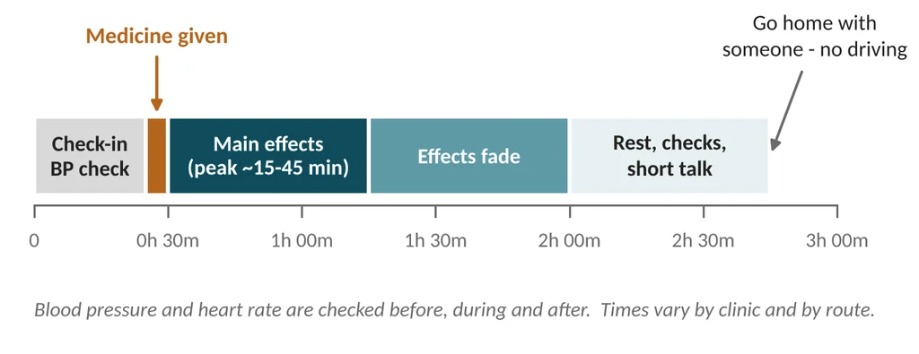 A typical session day (about 2.5-3 hours)